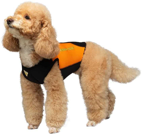 犬用ウェットスーツ Cressi Japan