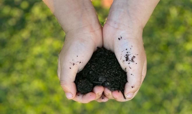 heart soil hands sustainability eat for baby