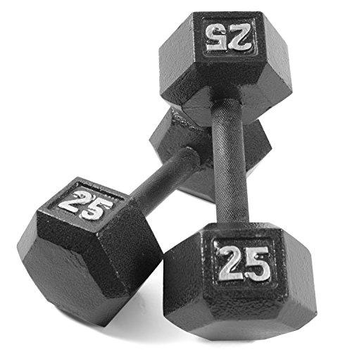 25 lb dumbbell pair