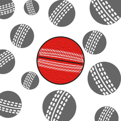 Shop Cricket Balls 
