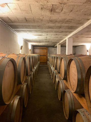 The cellar in winter