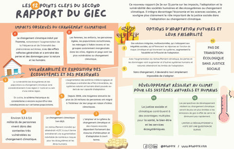 Infographie Bon Pote sur le 2nd Rapport du GIEC