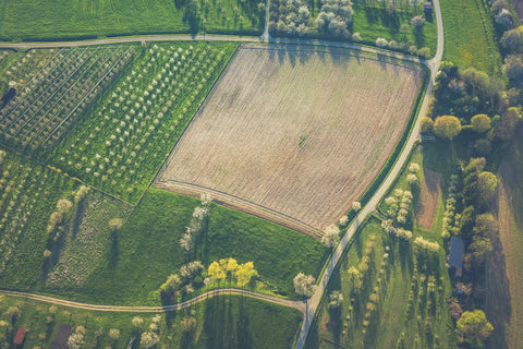 parcelles vignes et agriculture en bio