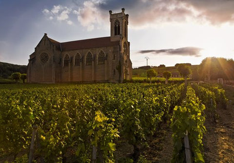 vin vallée de la loire