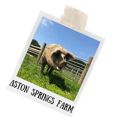 Aston Springs Farm