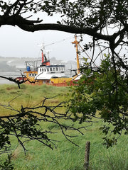 Tarka Trail At Instow