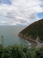 North Devon Coast