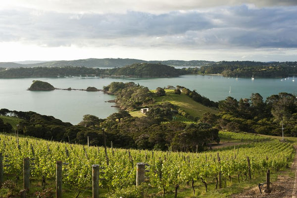 New Zealand - Waiheke Island - Little Miss Meteo