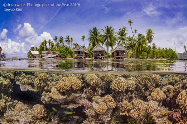 Underwater Photographer of the Year 2019 | Little Miss Meteo