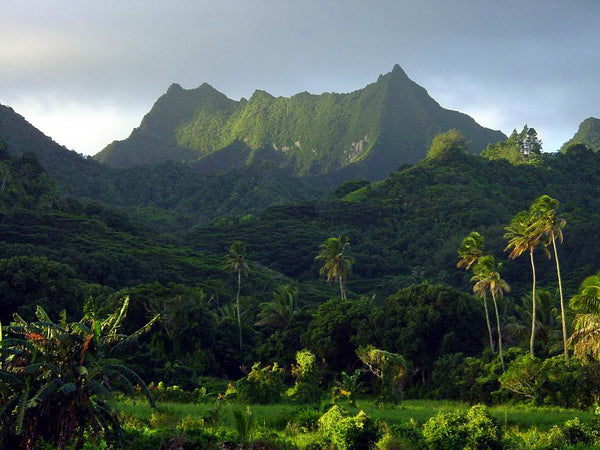 Arai Te Tonga – Most Sacred Marae in Rarotonga - Cook Islands | Little Miss Meteo