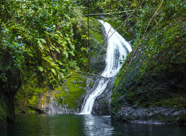 Wigmore's Waterfall - Lush Papua - Cook Islands | Little Miss Meteo