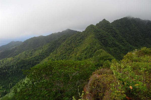 Raemaru - Cook Islands | Little Miss Meteo