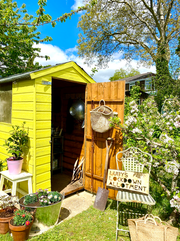 Yellow shed allotment inspiration luby howden