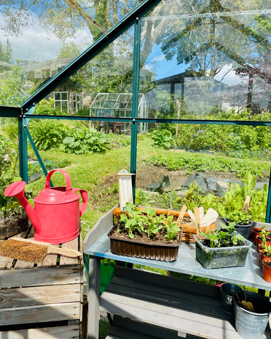 Greenhouse allotment inspiration luby howden