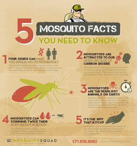 Mosquitoes Facts