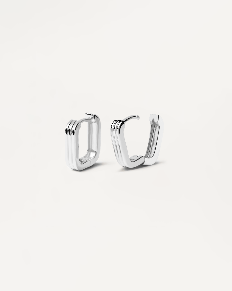 Silver Earrings - PDPAOLA