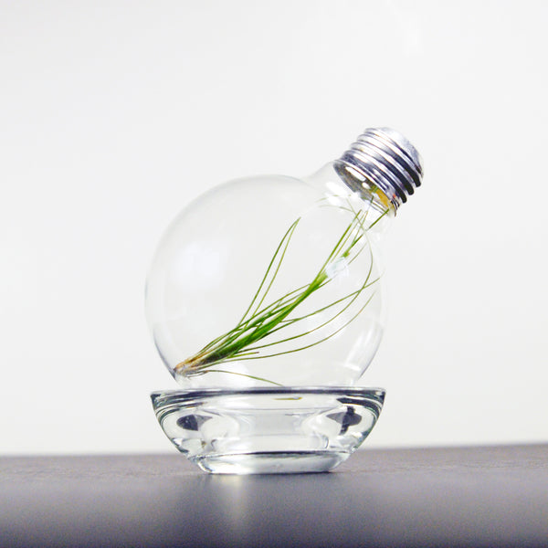 Beautiful DIY Ways to Upcycle Lightbulbs – EP Designlab LLC