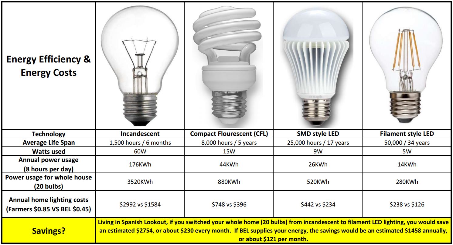 Benefits of White LED Light Bulbs – EP Designlab LLC