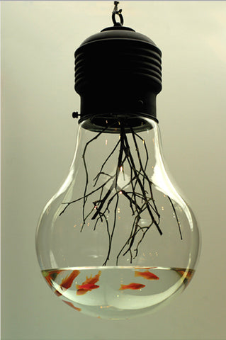 bulb shape fish tank