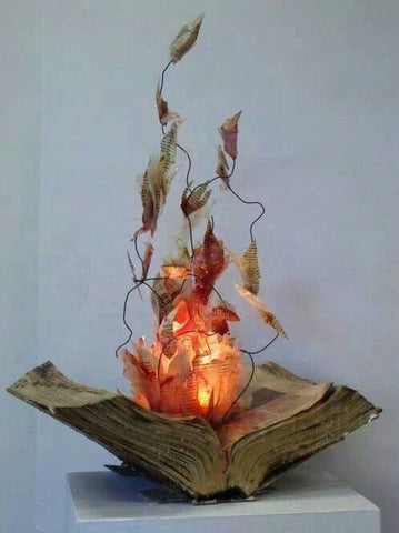 DIY fire books