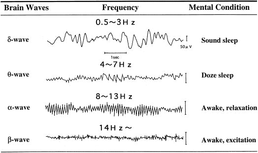 Alpha brain waves