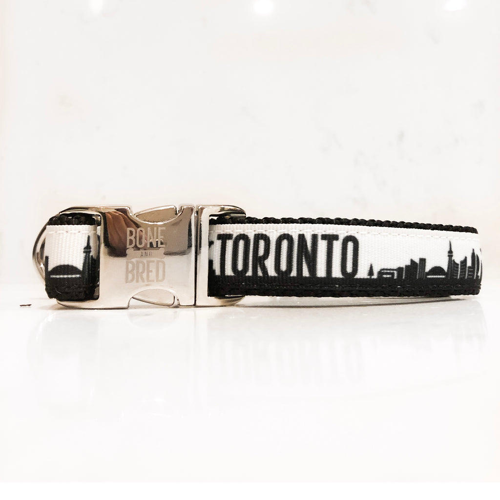 dog collars toronto