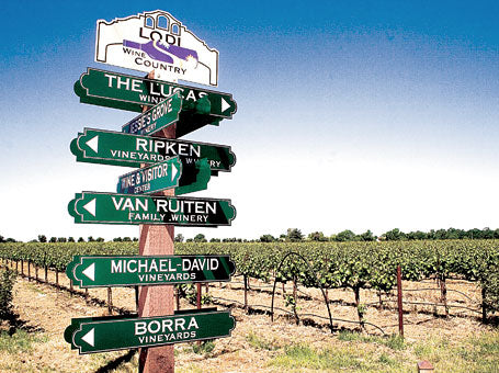 Wine tasting in Lodi California