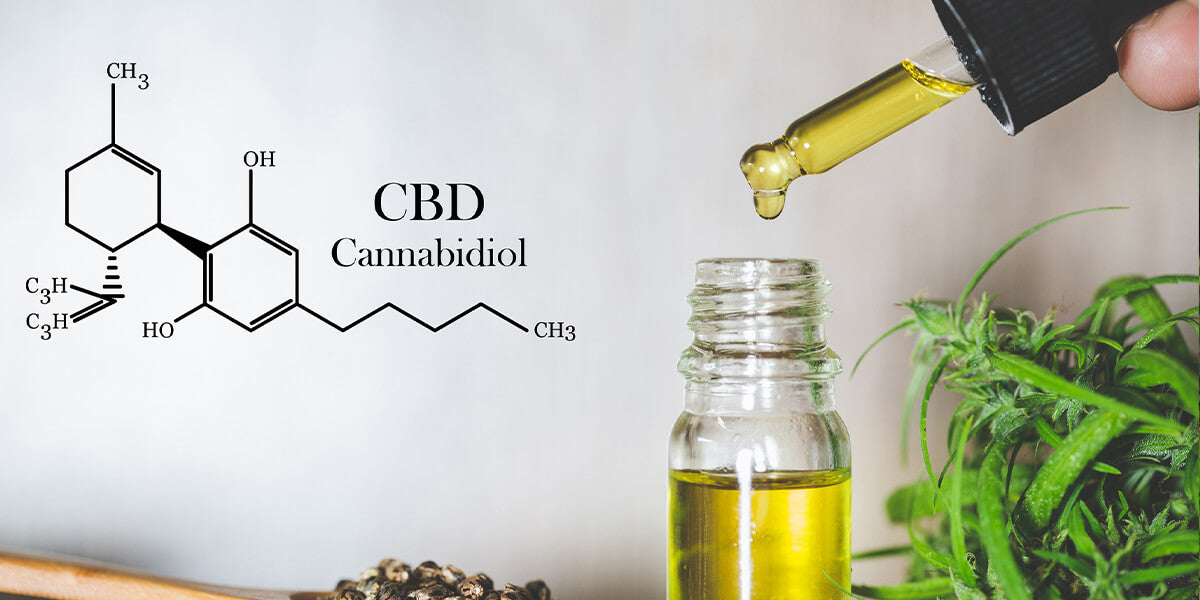 CBD Cannabidiol - What does Brexit mean for CBD products? - HempElf UK Best CBD and Cannabis Products for sale online