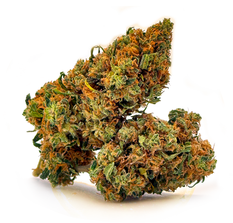 CBD Flower