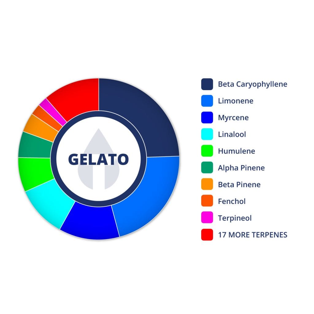 Gelato | Terpenes UK | 2ml – HempElf.com