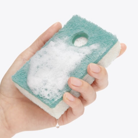 soapwell sponge