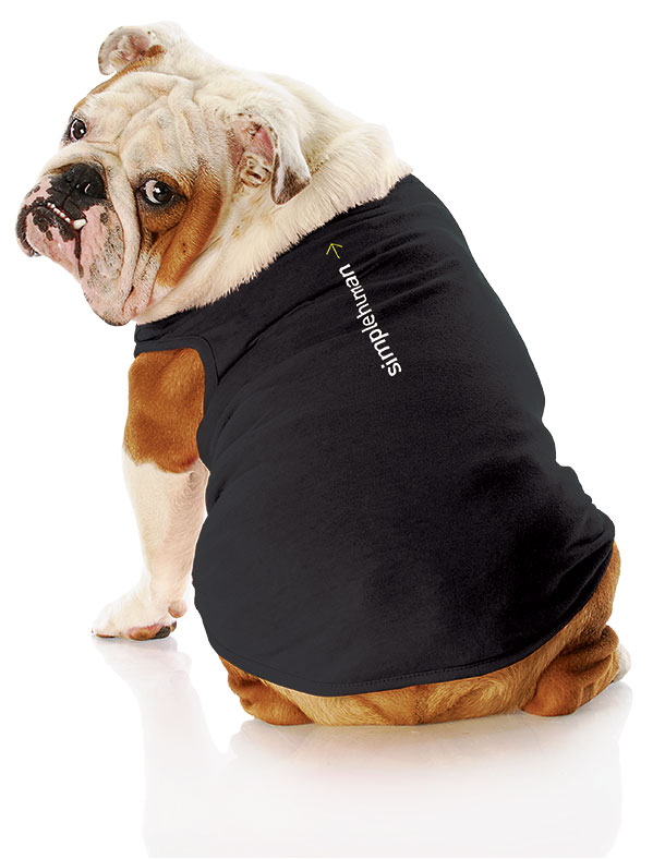 english bulldog wearing a simplehuman shirt