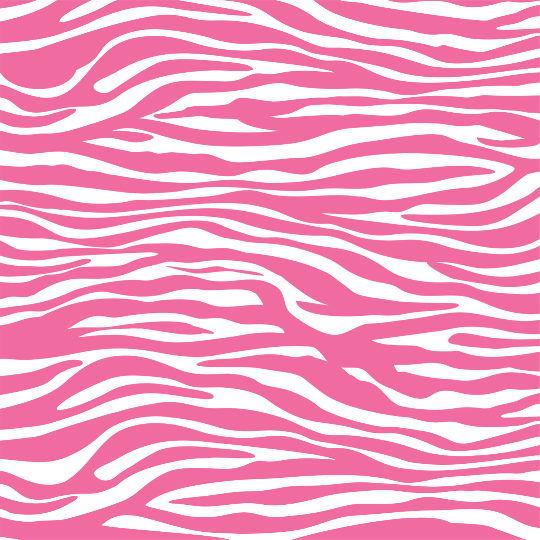 images of zebra print