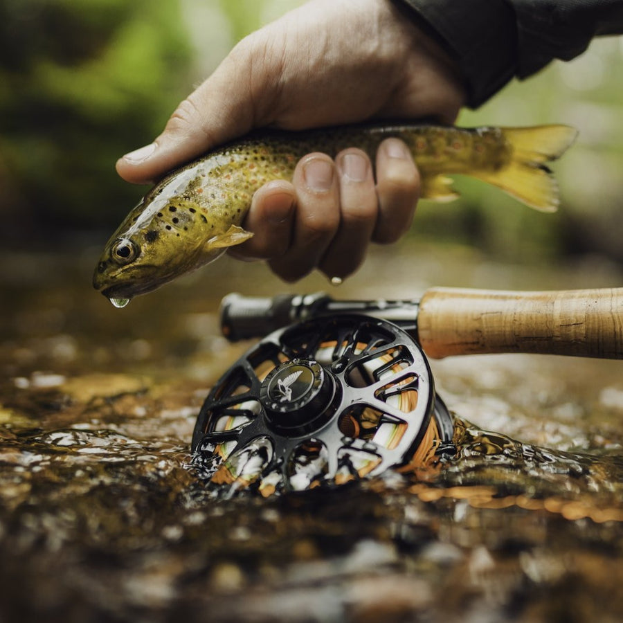 fly fishing reel logo