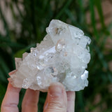 High Quality Apophyllite Crystal, Jalgaon