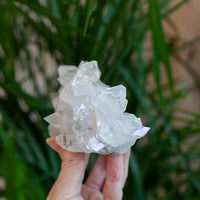 High Quality Apophyllite Crystal, Jalgaon