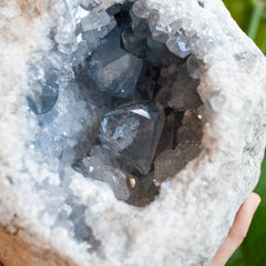 Large Celestite Crystal in Geode