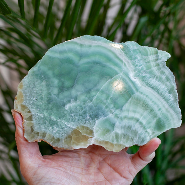 Chatoyant Green Aragonite From Spain