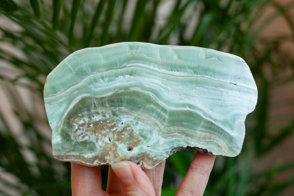 Chatoyant Green Aragonite From Spain