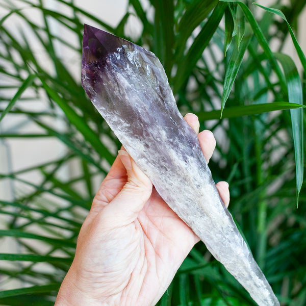 XL Bahia Amethyst Root Wand