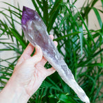 XL Bahia Amethyst Root Wand