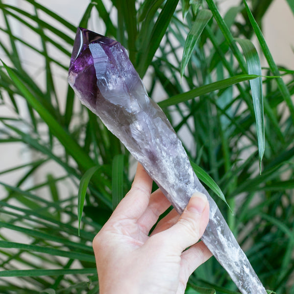 XL Bahia Amethyst Root Wand