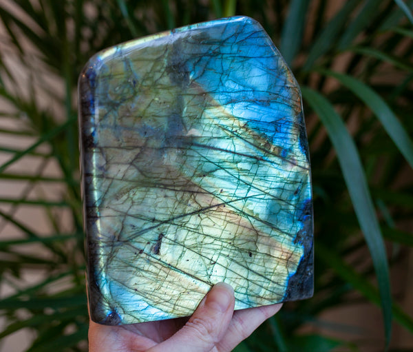 Labradorite Freeform, 4lb 7oz