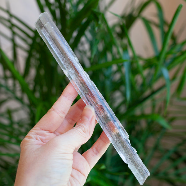 Stibnite Included Selenite Crystal