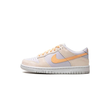 Nike Dunk Low 'Mini Swoosh Wolf Grey / Game Royal' FN3878-001 (GS 6.5)