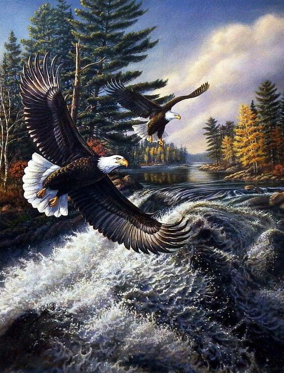 Eagle Flying Above Water | 5D Diamond Painting Kits | OLOEE