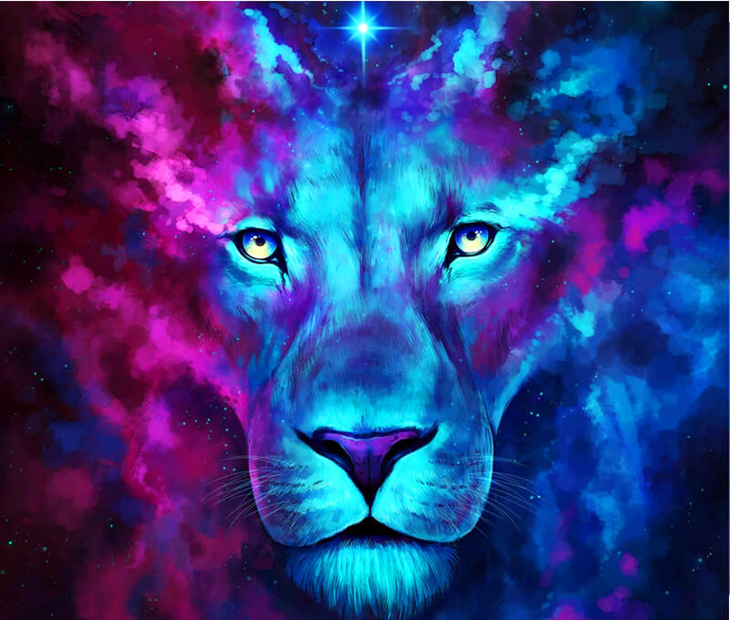 Blue Purple Lion Face | 5D Diamond Painting Kits | OLOEE