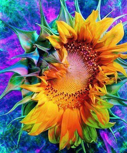 Oil Painting Sunflower | 5D Diamond Painting Kits | OLOEE