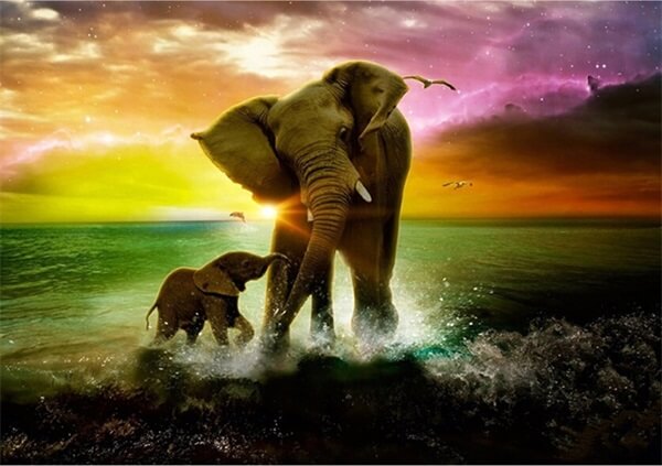 Mother And Baby Elephant | 5D Diamond Painting Kits | OLOEE