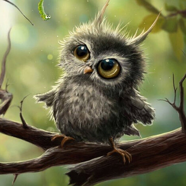 Cute Baby Owl | 5D Diamond Painting Kits | OLOEE